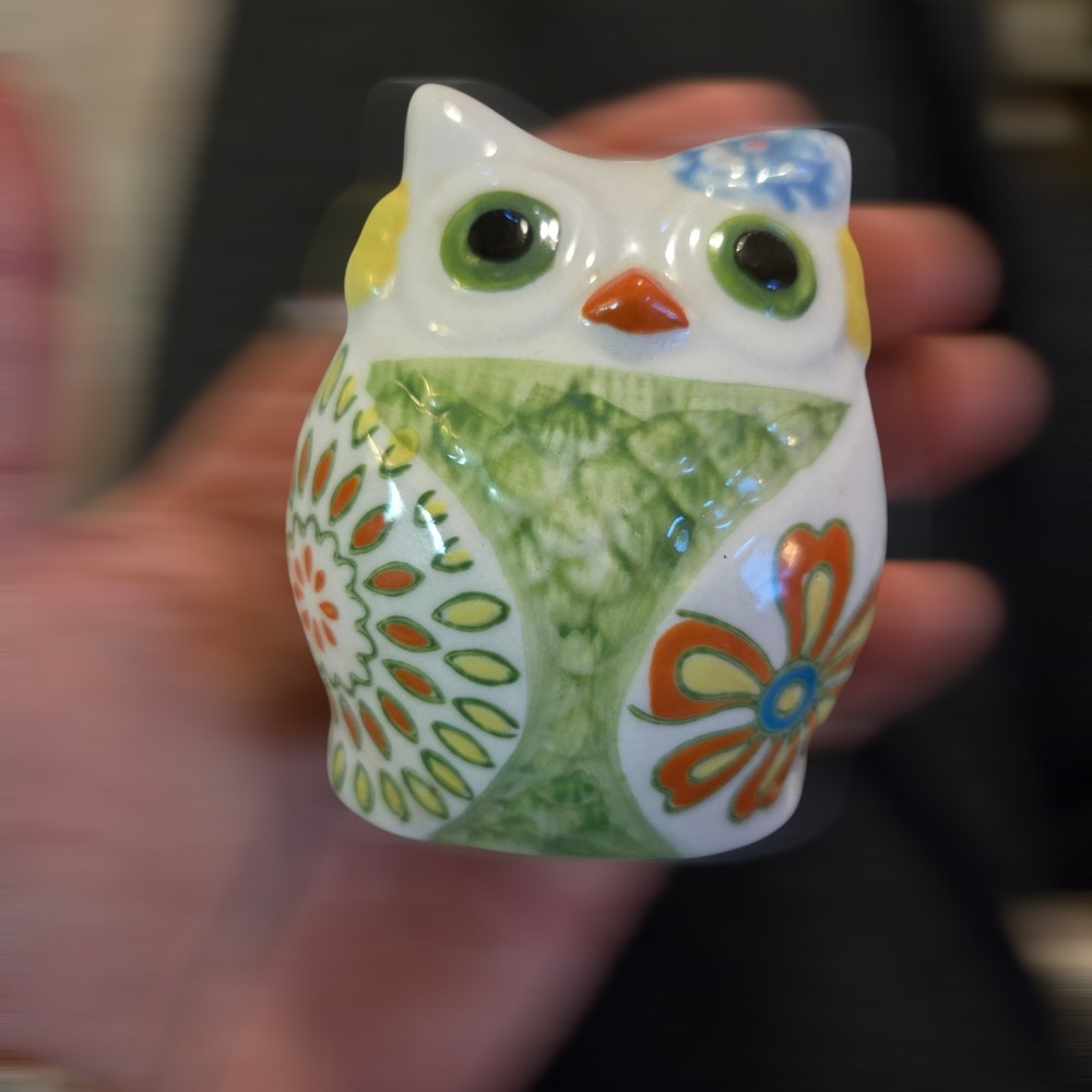 VTG Floral Owl Salt Pepper‎ Shaker Ceramic Multi Color Boho Kitchen Bird Decor